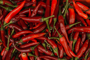 Réparation radiateur Cayenne